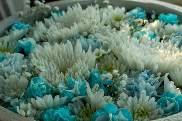 夕刻の花手水　あしかがフラワーパーク