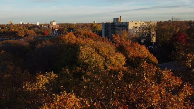 autumn in the city