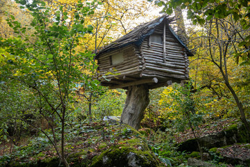 Wooden hut on a tree