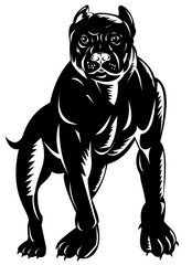 illustration of a pitbull dog done in retro woodcut style.