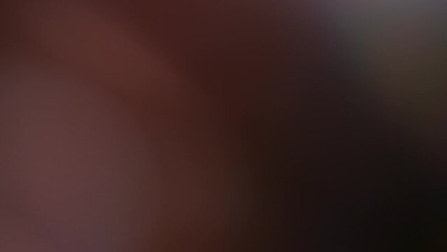 Light organic leaks effect background animation stock footage Lens light leaks flashing around making an elegant abstract background animation Classic Light Leak in 4k drag and drop editing software