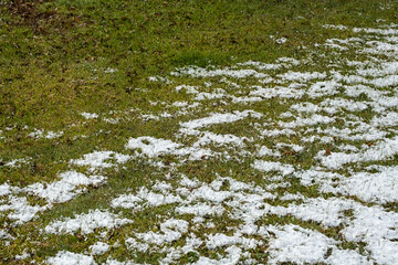 Green grass lawn covered with first snow. Natural pattern.