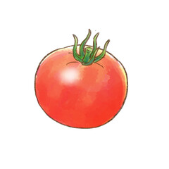 完熟トマト一個　水彩画（背景透過）