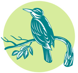 Illustration of a kingfisher bird perch on branch retro woodcut style.