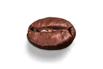 Brown Coffee Bean on white background