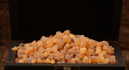 Commiphora myrrha, resin or natural myrrh crystals.