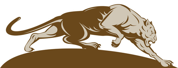 illustration of a big cat stalking © Redwater Vectors