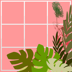 vector illustration of background frame with tropical plant accessories