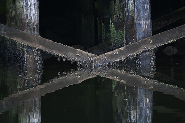 Barnacle-covered wooden pilings reflected in the harbor at Sitka, Alaska. - obrazy, fototapety, plakaty