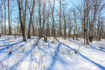 Beautiful winter landscape at the ravine