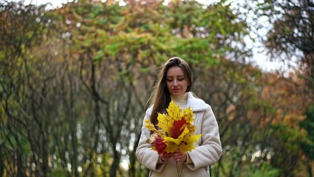 Attractive brunette lady in white jacket walks outdoors with bright leaves in her hands. Woman tosses the leaves into air smiling happily and catching them.