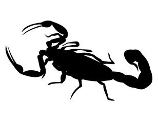 Illustration of a scorpion.