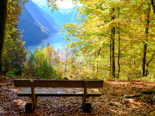 Bench in fall