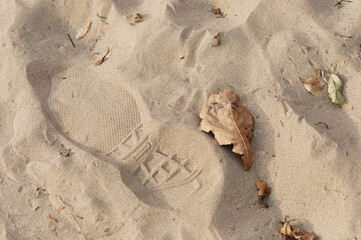 Footprint of sports shoes and dry leaves on the fine sand of the city beach in autumn. Close-up of...