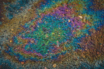 Puddles are contaminated with multicolored streams of oil. Oil stains on wet asphalt.