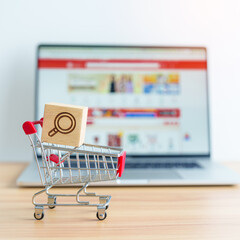 Shopping cart with Magnifying icon block and laptop computer with marketplace website, technology,...