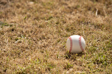 Close up shot of baseball seen on grass