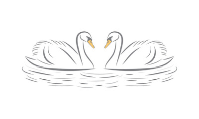 Romantic white swan couple vector isolated. Beautiful swan, water bird icon. 