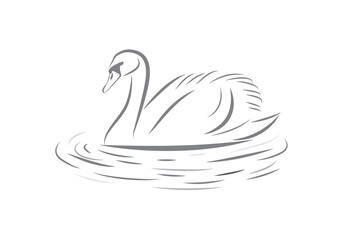 Swan vector icon isolated on white. Romantic white swan, beautiful water fowl.