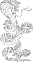 snake cobra tattoo style Cobra vector. king Cobra snake with mouth open.Snake cobra illustration.Rattlesnake vector.