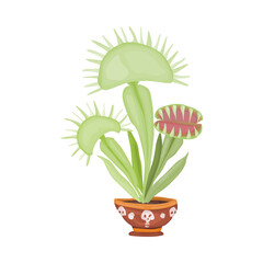 Carnivorous Plant PNG Format With Transparent Background