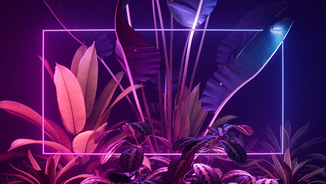 Tropical Plants Illuminated With Blue And Pink Fluorescent Light. Jungle Environment With Rectangle Shaped Neon Frame.