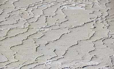 Obraz premium Dry mud background texture banner,result of climate change image