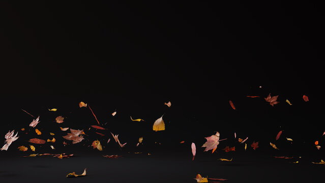 Black Holiday Wallpaper with Falling Autumn Leaves. Natural Banner with copy-space.