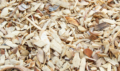 Wood shavings, shavings, chips, natural material texture background