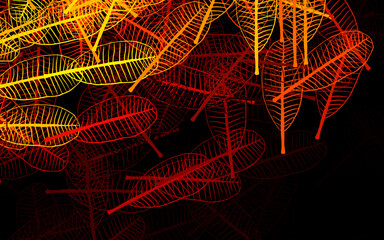 Dark Orange vector natural backdrop with leaves.