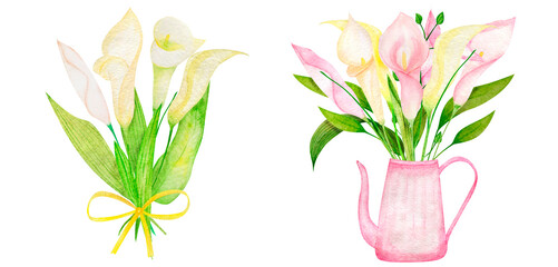 Fototapeta na wymiar Watercolor clipart calla lilies leaves hand drawn
