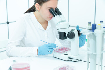 a schoolgirl a student of a medical university is studying the sowing of microbiological cultures...