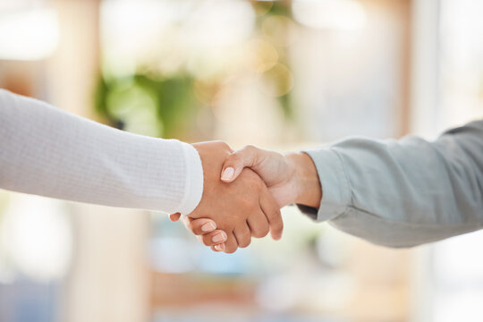 Business People Shaking Hands, Meeting And Consulting, Networking And Hiring Agreement, Partnership Goals Or Office Onboarding. Welcome Handshake, Hr Worker Promotion Or B2b Management Support Deal