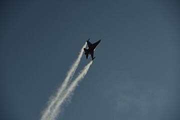 crow in flight