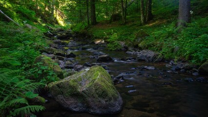 Scenic view of a river flowing through rocks covered with greenery in the Black Forest, Germany