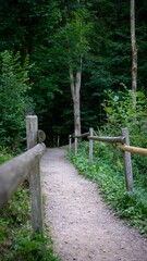 Vertical shot of a trail with wooden handrail in a green forest in Ravenna Gorge, Germany
