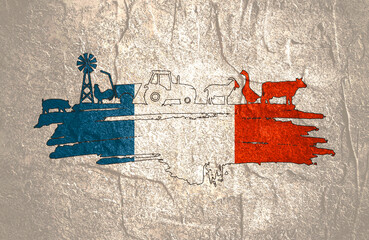 Brush stroke with agricultural icons textured by flag of France. Background for eco products.
