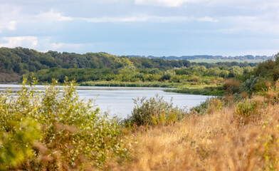 Fototapeta na wymiar River in nature in summer.