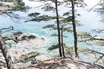 rocky island with pine trees