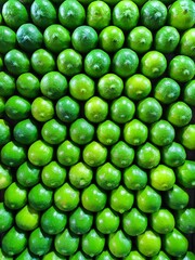 lemons citrus background  and texture , close up of  green citrus