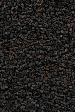 sesame black background close-up