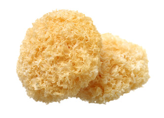 Tremella fuciformis on white background 