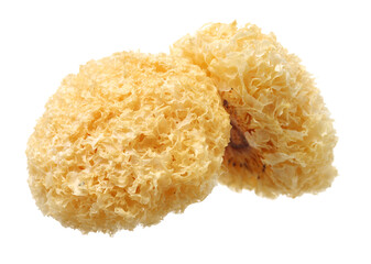 Tremella fuciformis on white background 