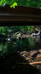 Vertical of a river flowing under a bridge in the Black Forest, Breitnau, Germany