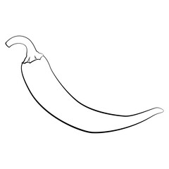 Chili pepper in a thin line. Vector on a white background