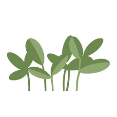 植栽のベクターイラスト