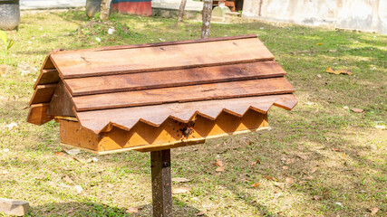 The wooden box used as the nest for stingless bee farming - 542345226