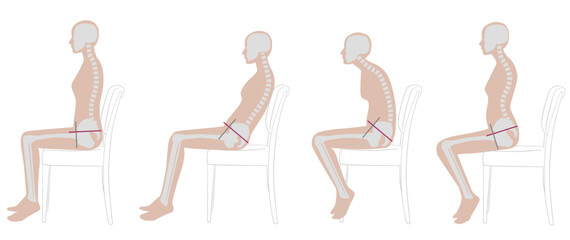 椅子に座る良い姿勢と悪い姿勢の骨格見本