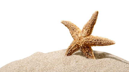 Fototapeta na wymiar One Starfish isolated on background.