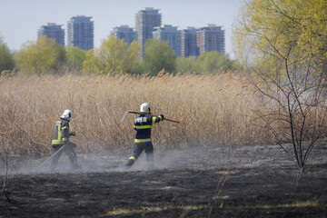 Firefighters try to extinguish a wildfire of vegetation in the Vacaresti park nature reserve.